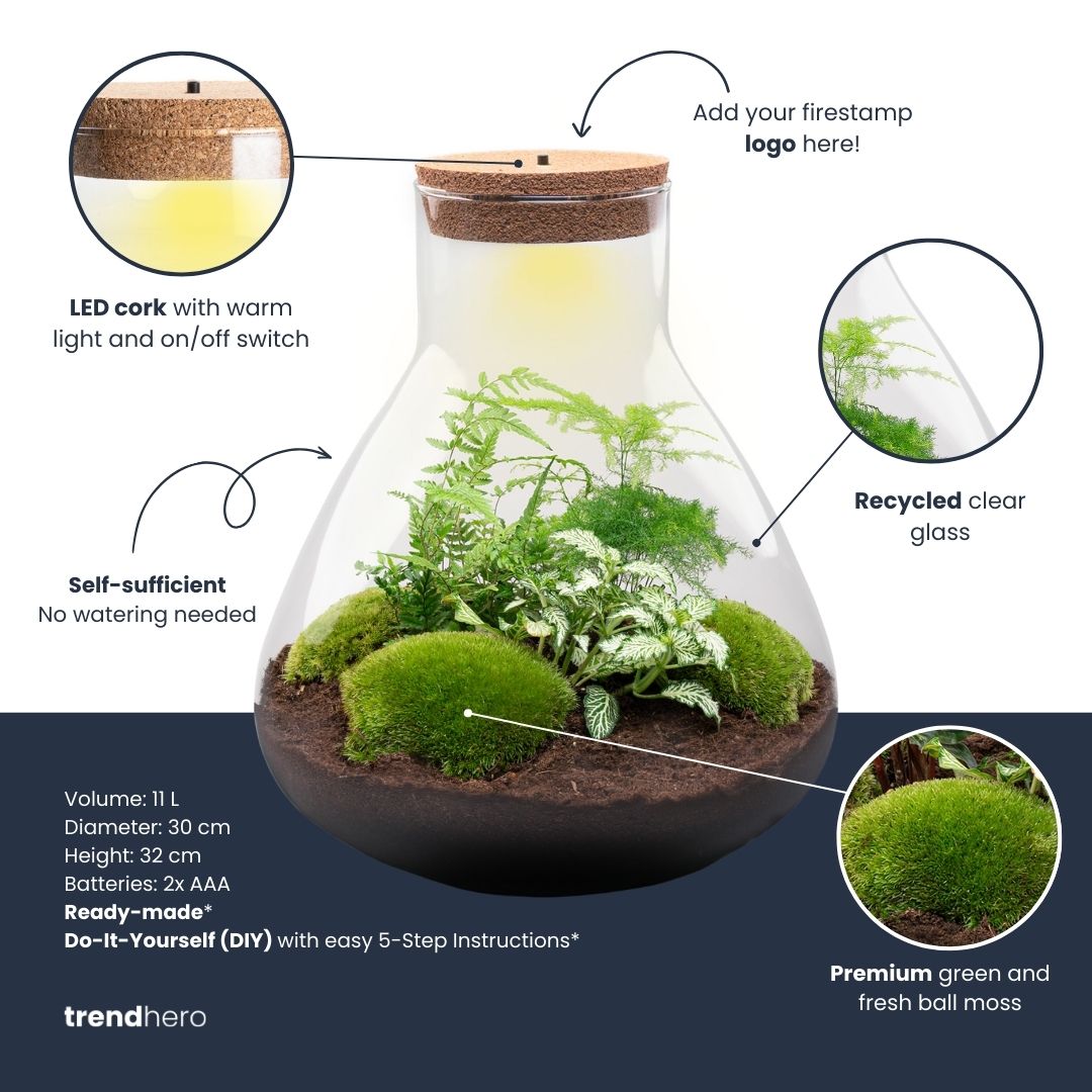 Terrarium Sam Xl - Ø 30 Cm ↑ 32 Cm - Relatiegeschenk
