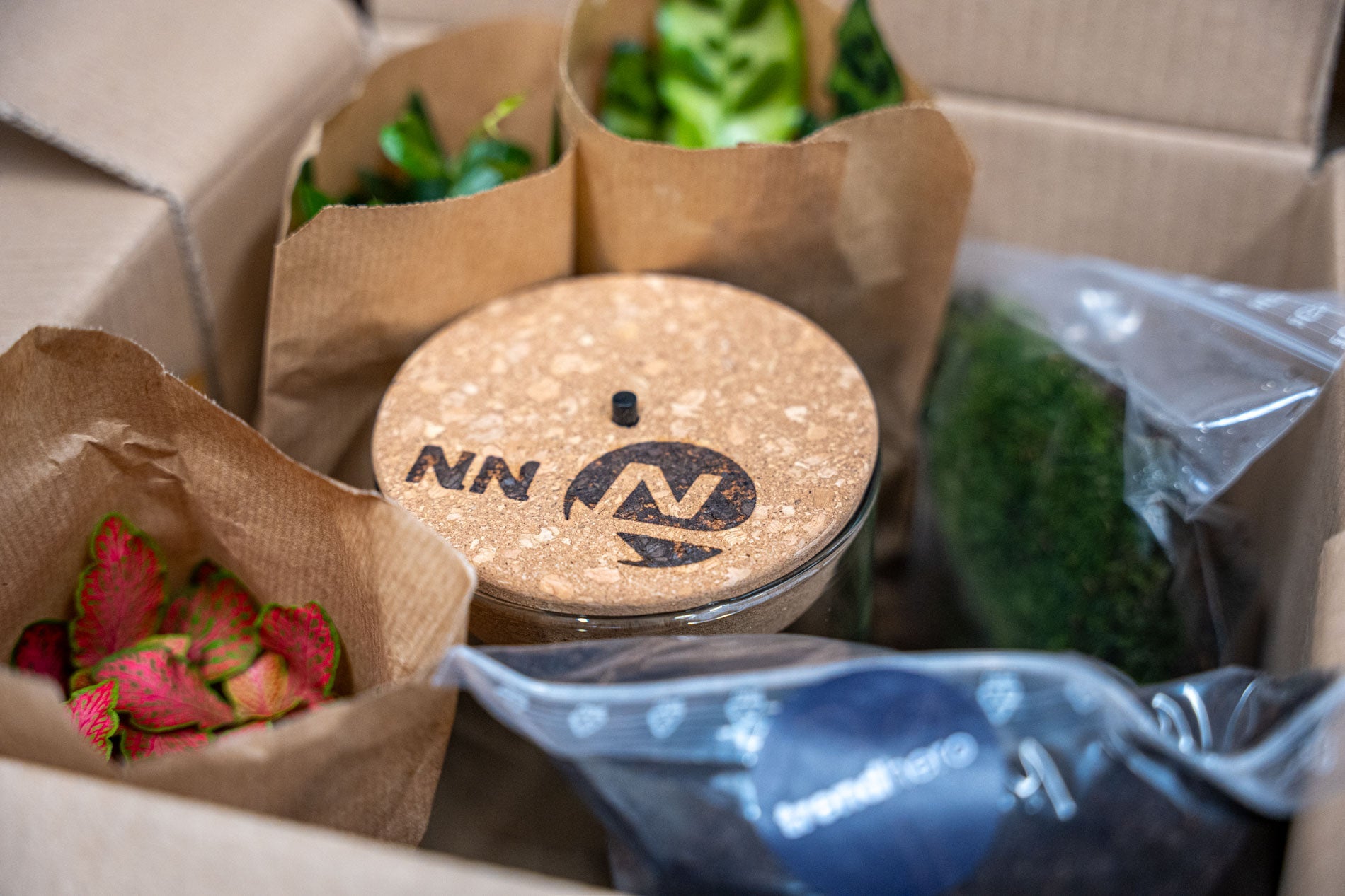 Terrarium Sam Xl - Ø 30 Cm ↑ 32 Cm - Relatiegeschenk