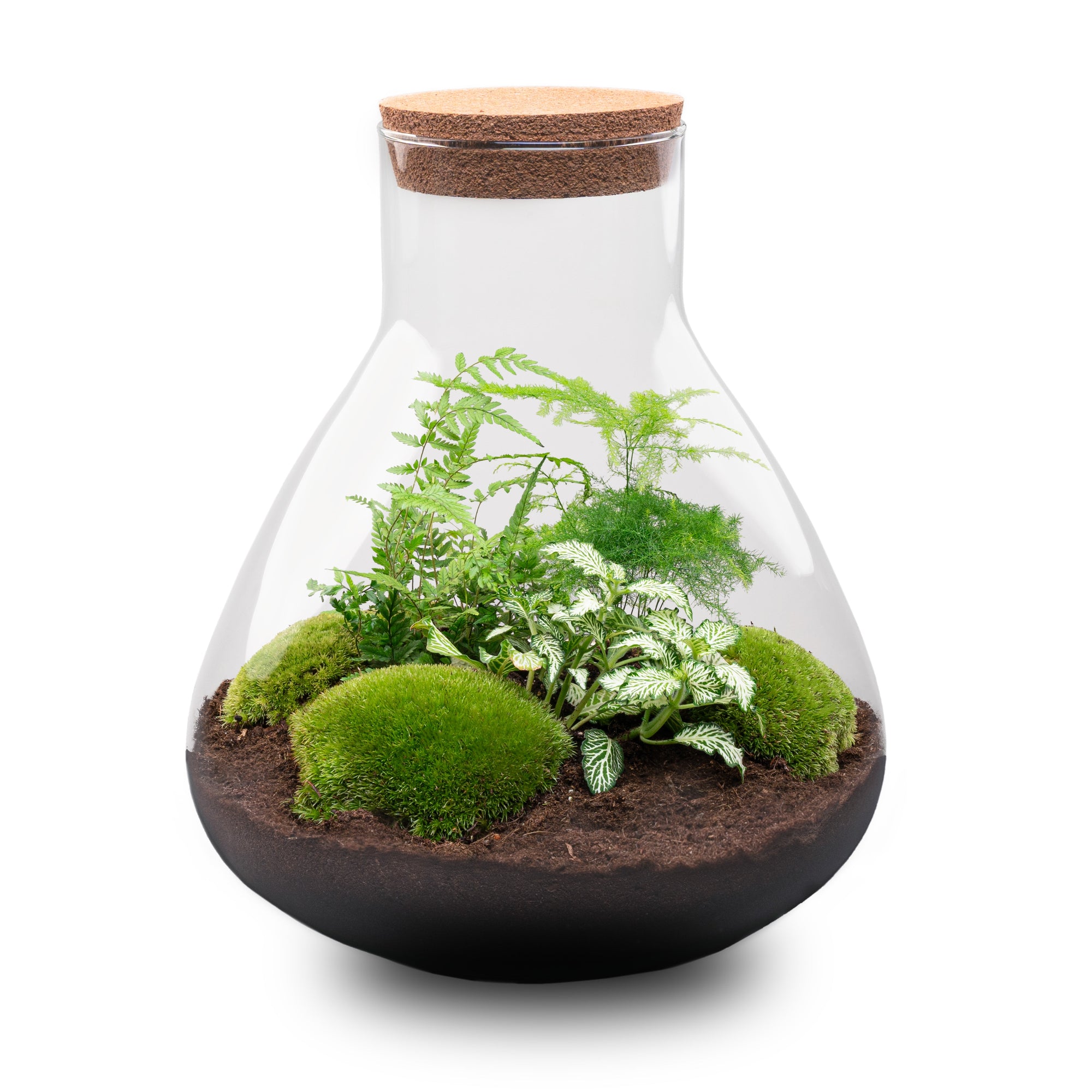 Terrarium Sam Xl - Ø 30 Cm ↑ 32 Cm - Relatiegeschenk