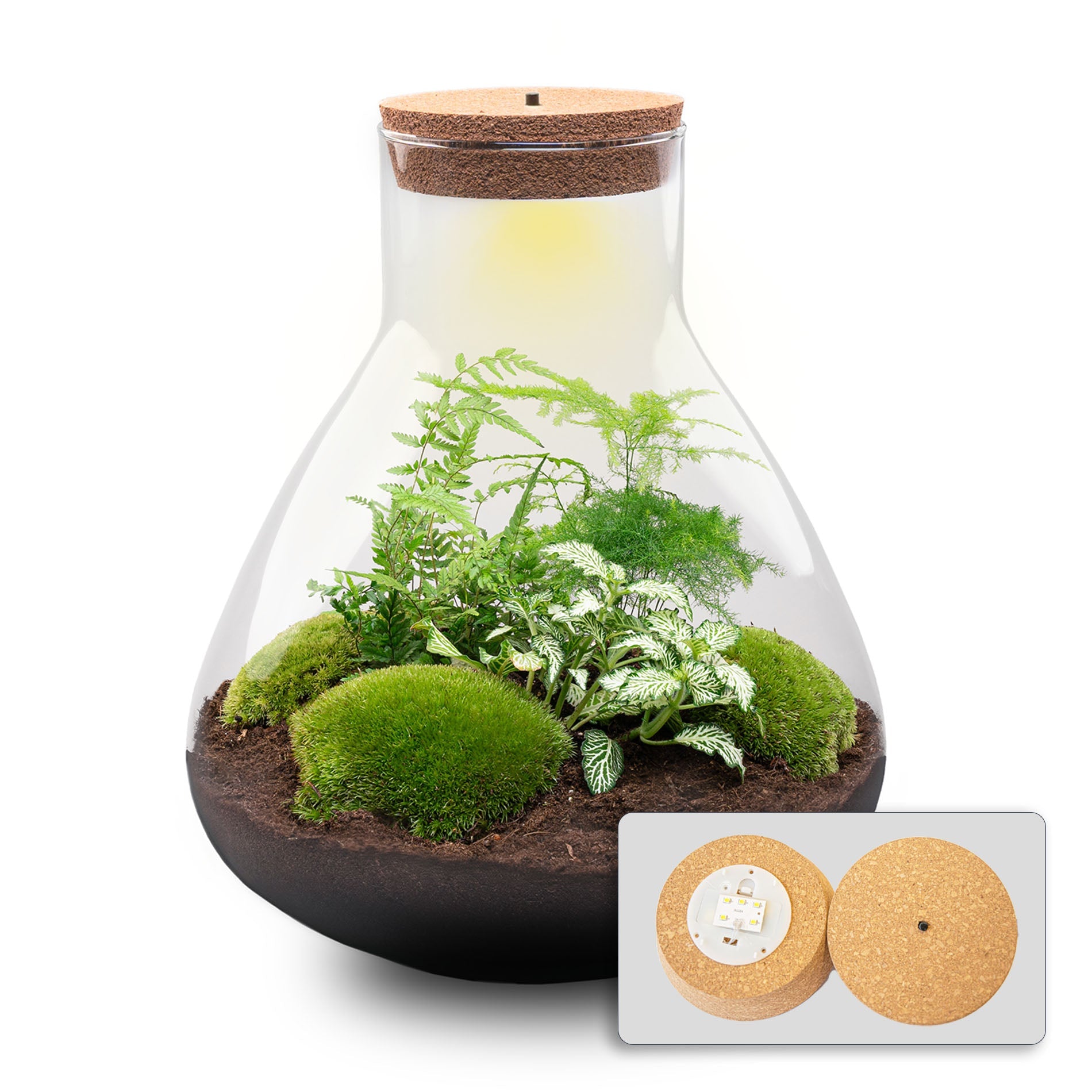 Terrarium Sam Xl - Ø 30 Cm ↑ 32 Cm - Relatiegeschenk