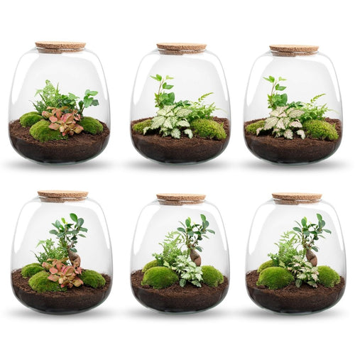 Emma - Terrarium With Light - Bottle Garden Diy Kit - Ø 23 Cm ↑ 25 Cm