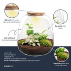 Emma - Terrarium With Light - Bottle Garden Diy Kit - Ø 23 Cm ↑ 25 Cm