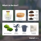 Little Joe - Terrarium With Light - Bottle Garden Diy Kit - Ø 20 Cm ↑ 22 Cm