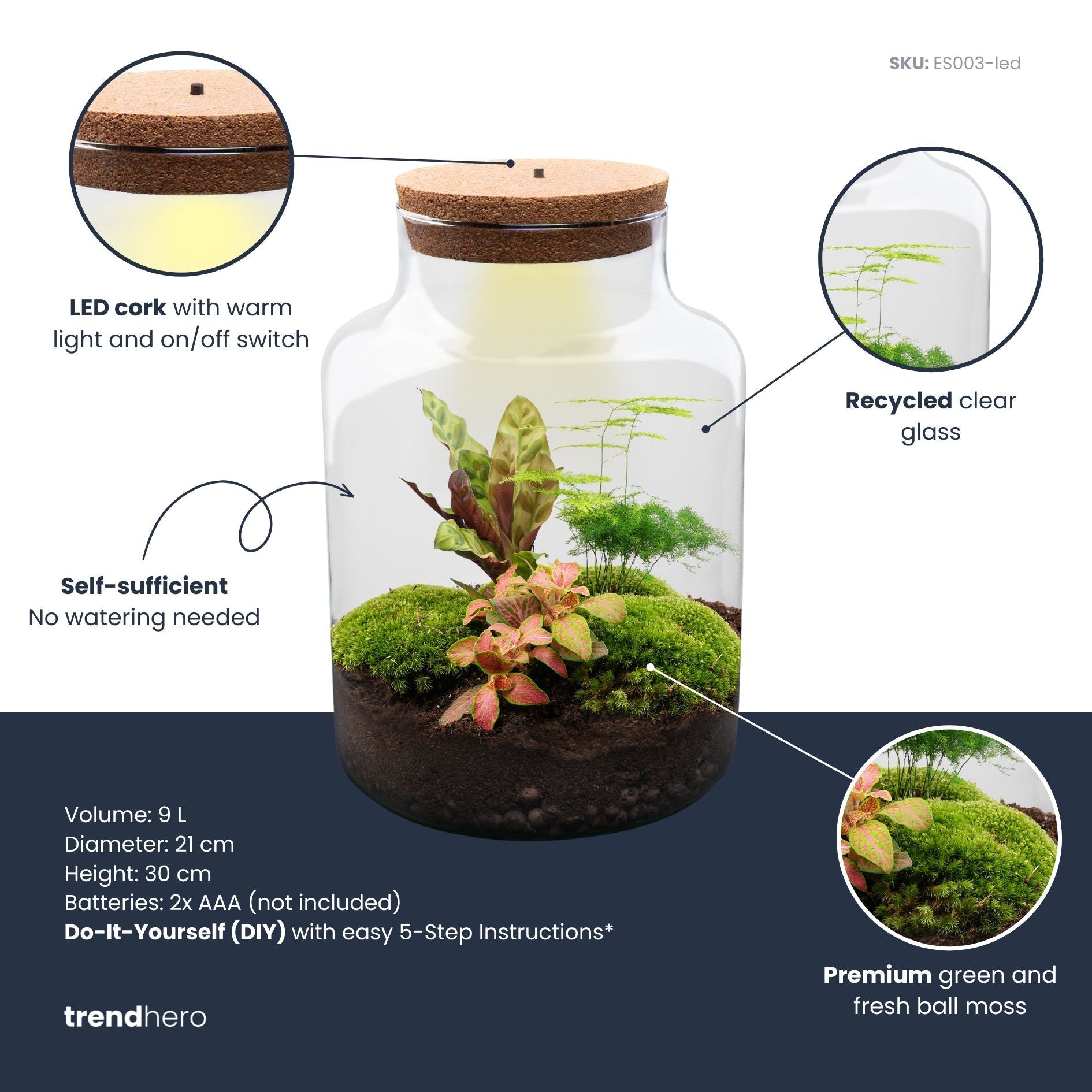 Milky - Terrarium - Bottle Garden Diy Kit - Ø 21 Cm ↑ 30 Cm