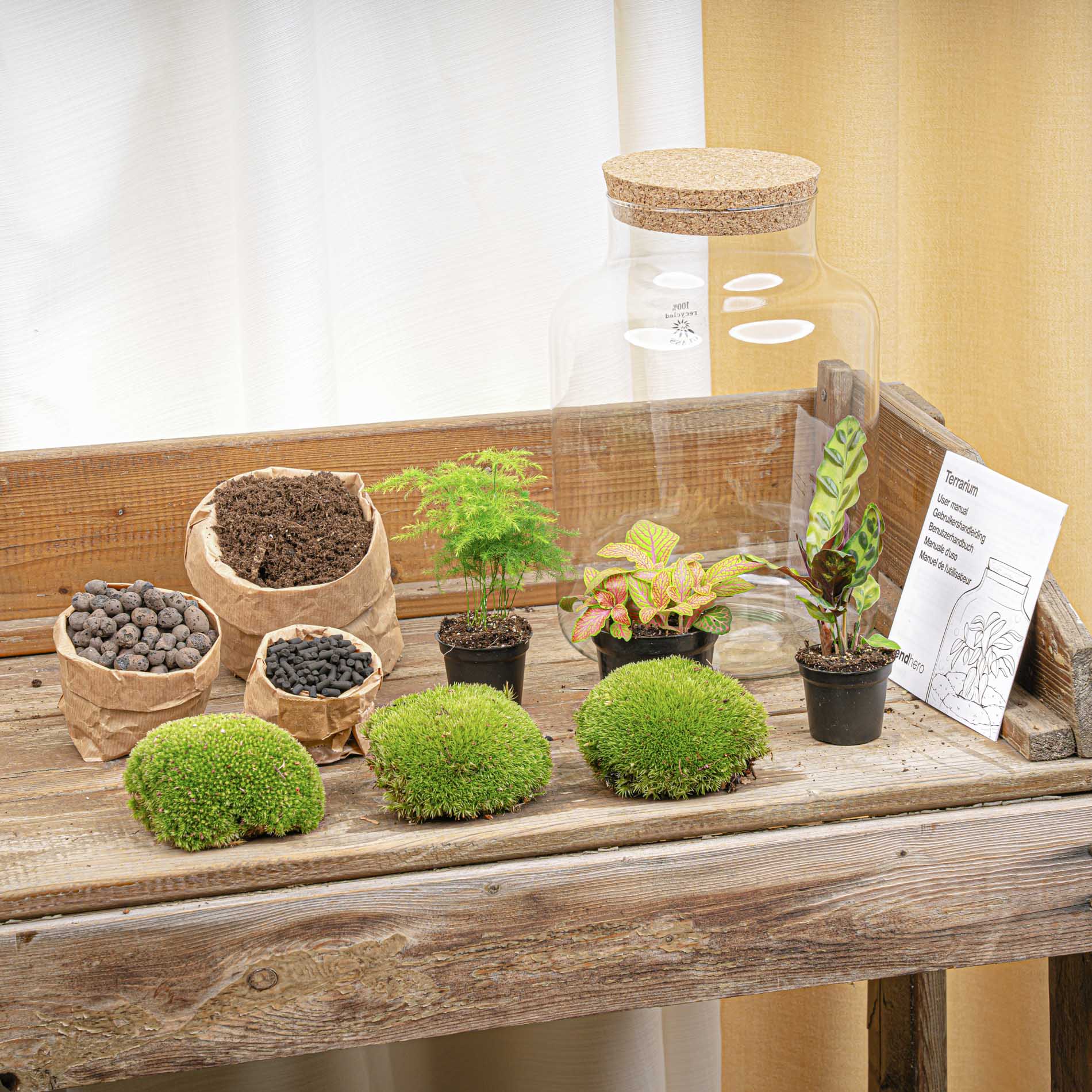 Milky - Terrarium - Bottle Garden Diy Kit - Ø 21 Cm ↑ 30 Cm